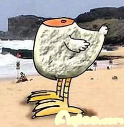 רҵ11