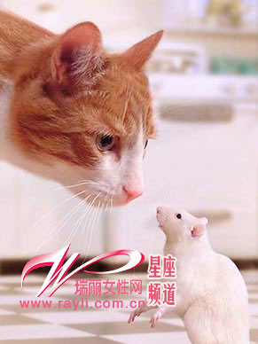 䴫˵ʮֲ