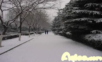 ĺ֮