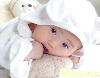 Ӥ˼ʹϵ