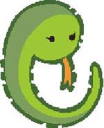 ʮФ˳