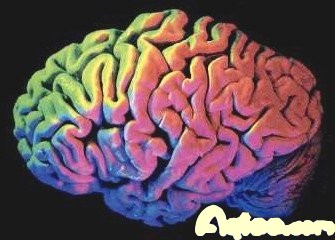 情商与八字哪个更重要