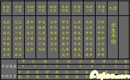 甲子宫位看你的感情运