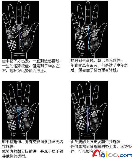 图解掌纹:智慧线解析