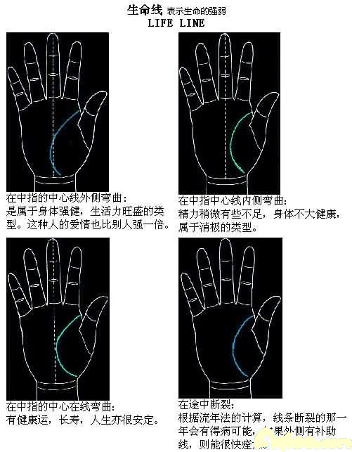 图解掌纹:生命线解析