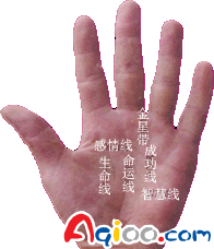 图解掌纹:生命线解析