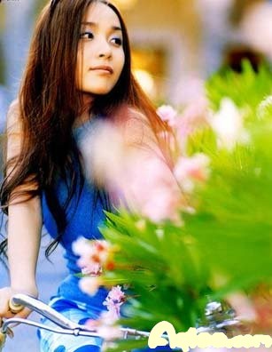 生肖蕴含的祖先期望