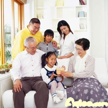 浪漫幸福家庭的组合