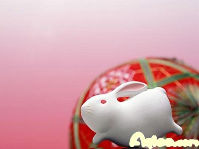 十二属相的婚配秘笈