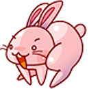 곬˼ʶԶ