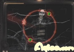 ò