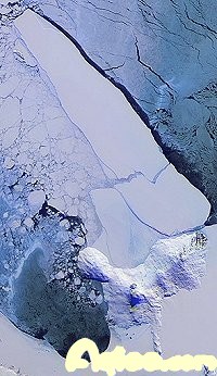 ʮ漣