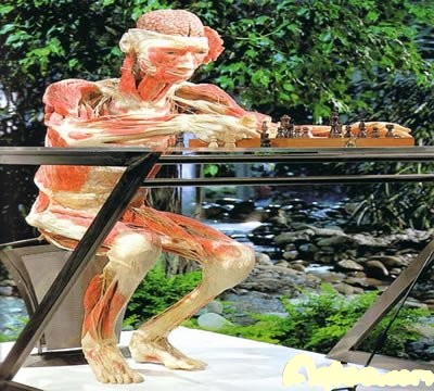 尸体艺术死去的美丽