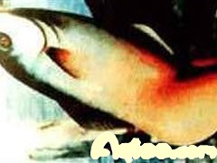 ʵĴ֮