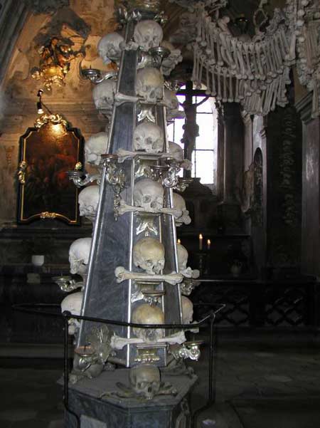 ֲĽݿ˹ǽ