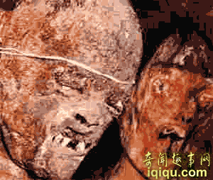 Ĺʬȫ