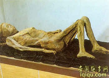 Ĺʬȫ