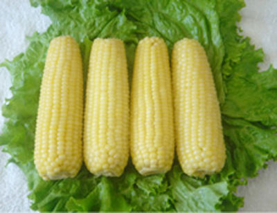 ʳٽ³´л