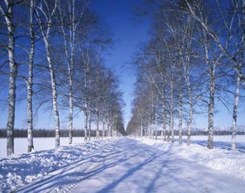 12ФԸ