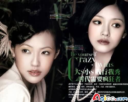 大小S紫微命理解析