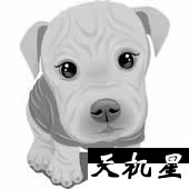 14ǲ˹滮ϰ