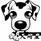 14ǲ˹滮ϰ
