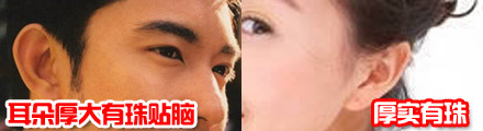 ֶľ