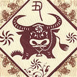 生肖08运程最全解析