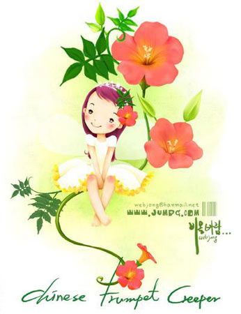 12生肖08年桃花贵人