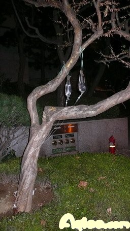 郭晶晶命硬爱情多波折