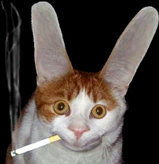 ӳ̶뷨