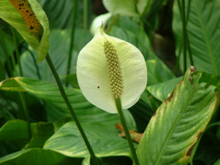 :eXinQing.net