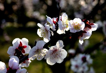 :eXinQing.net